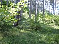 Снимки за книгата есен 2 051