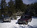 Pic 130