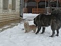 IMG 3305