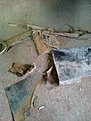 Изображение0031