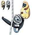 Petzl ID