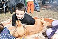 IMG 0916
