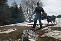IMG 0929