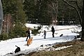 IMG 0988