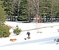 IMG 0983