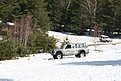 IMG 1006
