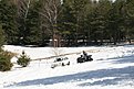 IMG 1017