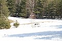 IMG 1015