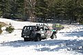 IMG 1077