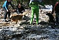IMG 1239