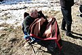 IMG 1229