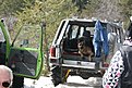 IMG 0956