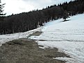 Picture 001