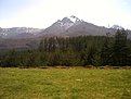 PICT0334
