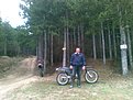 (006)