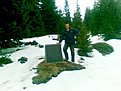 (017)