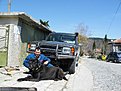 Why I love my Land Rover:
I have realised that owning a Land Rover  is more of a hobby than anything else!
........ more of a life style, hours on fun covered in grease oil and muck, under the thing LOL!