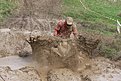 IMG 1354