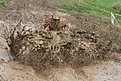 IMG 1356