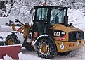 IMG 4388