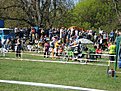 DSC00560