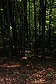 DSC 4543