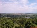 DSC04317
