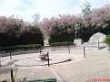 DSC04223