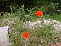DSC04291