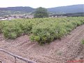 DSC04290