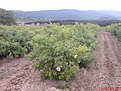 DSC04289