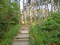 DSC04229