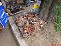DSC04238