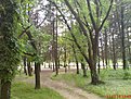 DSC04225