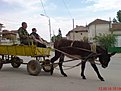 DSC04246