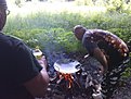 DSC00799