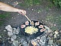 DSC00809