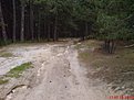DSC04286