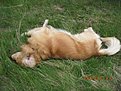 IMG 0020