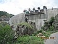 IMG 0037