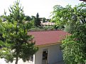 IMG 3739