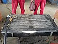 DSC01435