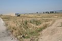 IMG 6818