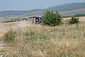 IMG 6825