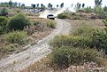 IMG 6906