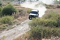 IMG 6908