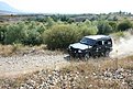 IMG 6910