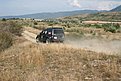 IMG 6911