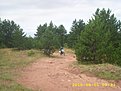 DSCI0706