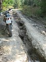 IMG 2795